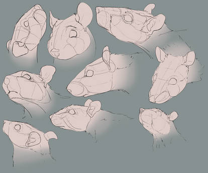 #264 - Rat Head Sketches