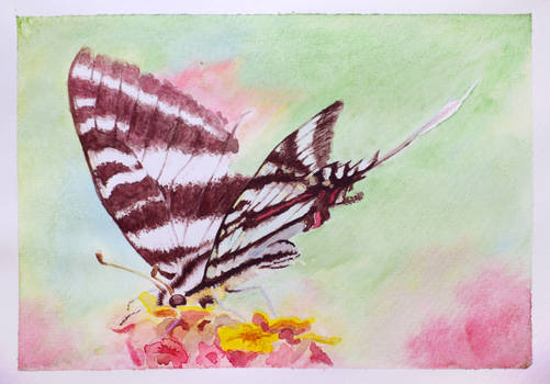 #524 - Butterfly Study