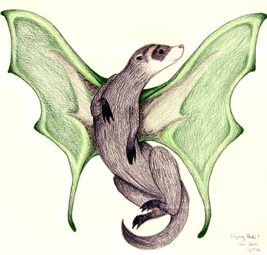 Winged Ferret