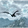 Skyrim (5)