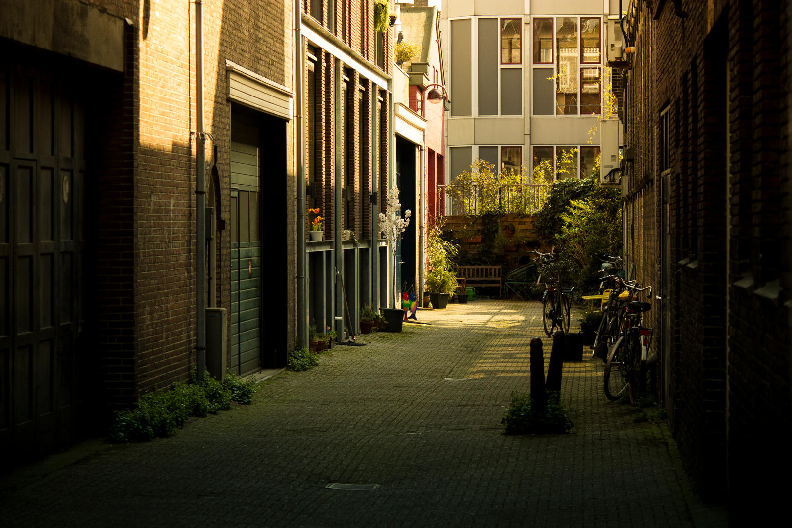 Amsterdam Alleyway