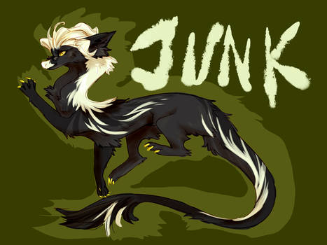 JUNK