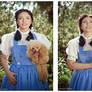 The Wizard of OZ -  Dorothy Gale 2