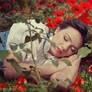 The Wizard of OZ - Dorothy Gale 3