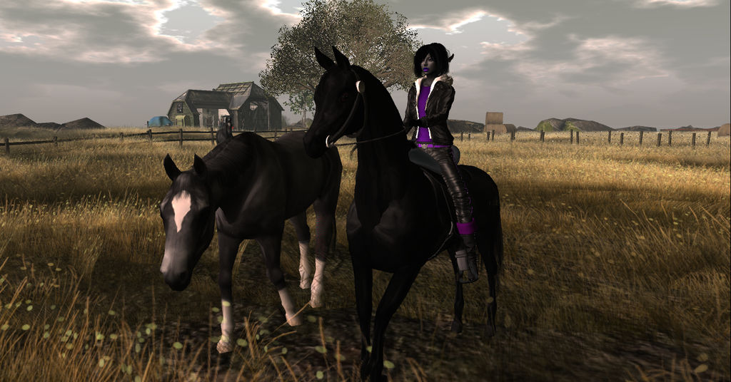 somewhere in the devil on horseback by MichaelBEAST on DeviantArt