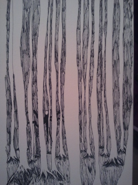 slender forest