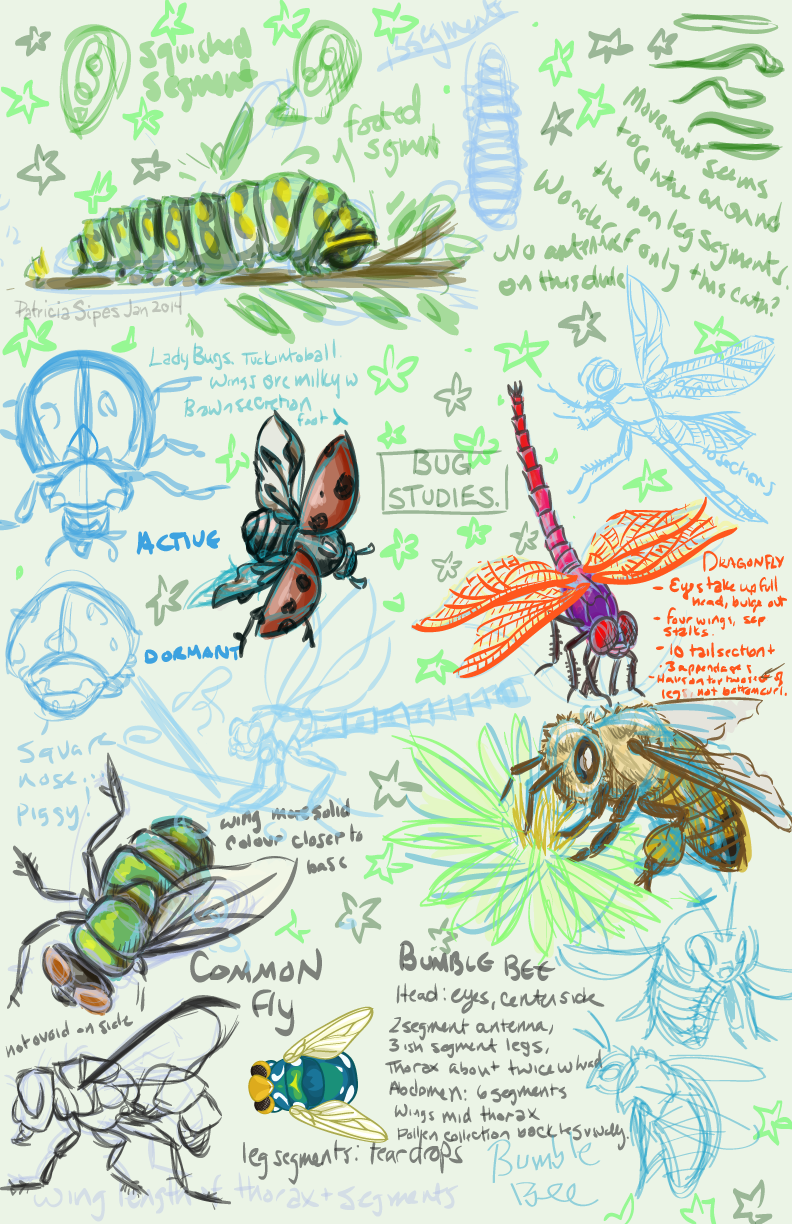 Bug Studies