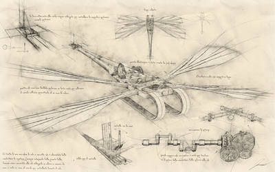 Da Vinci's Unknown Flying Machine