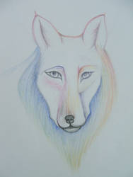 rainbow wolf