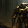 A Golden Space Marine