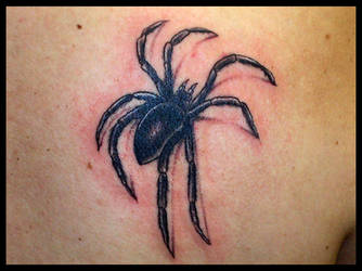 Spider Tattoo