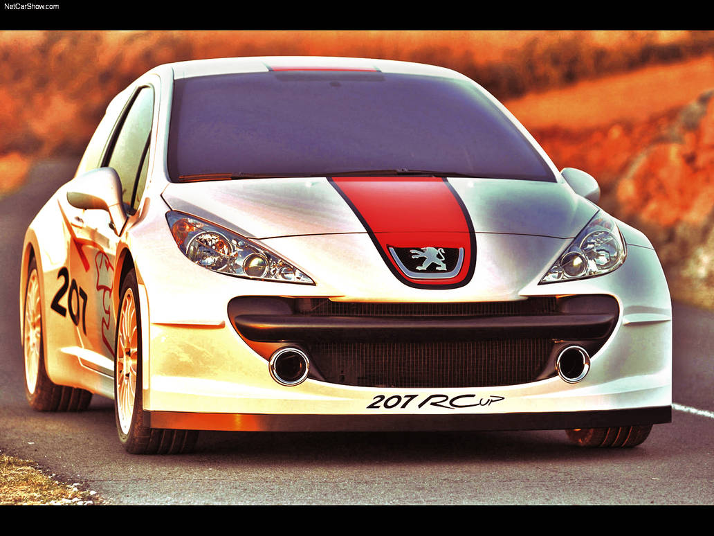 Peugeot 207 RCup Concept by Zankoku88 on DeviantArt