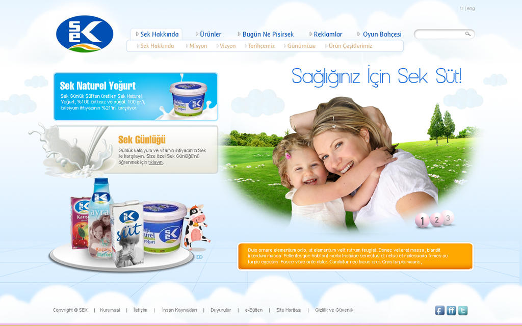 seksut web design