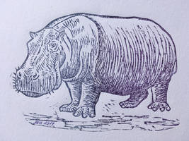 Hippopotamus linocut print