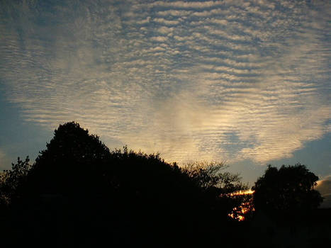 Corduroy Clouds