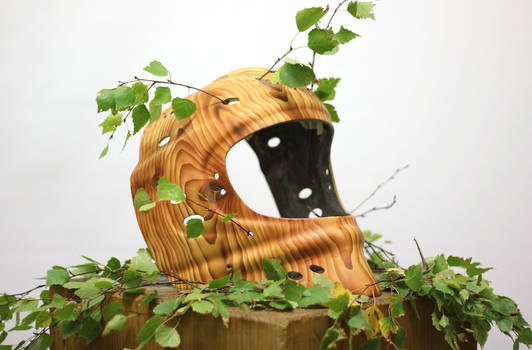 Holz-helm