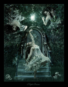 Night Fairies