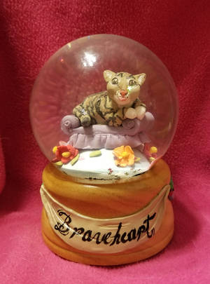 Braveheart - Pet Memorial Waterglobe by chipperpony Braveheart - Pet Memorial Waterglobe by chipperpony