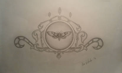 Moth  Drawing