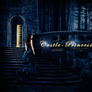 Castle-Princess