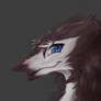 Sergal Profile