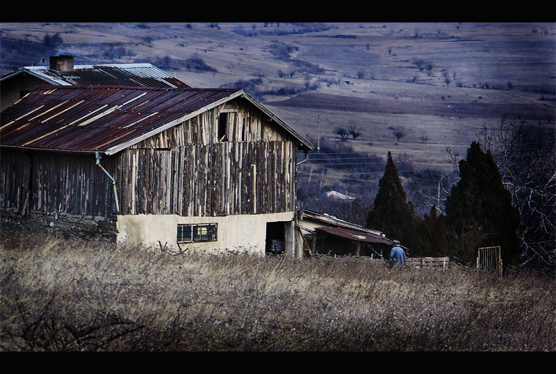 autumn memories 2009