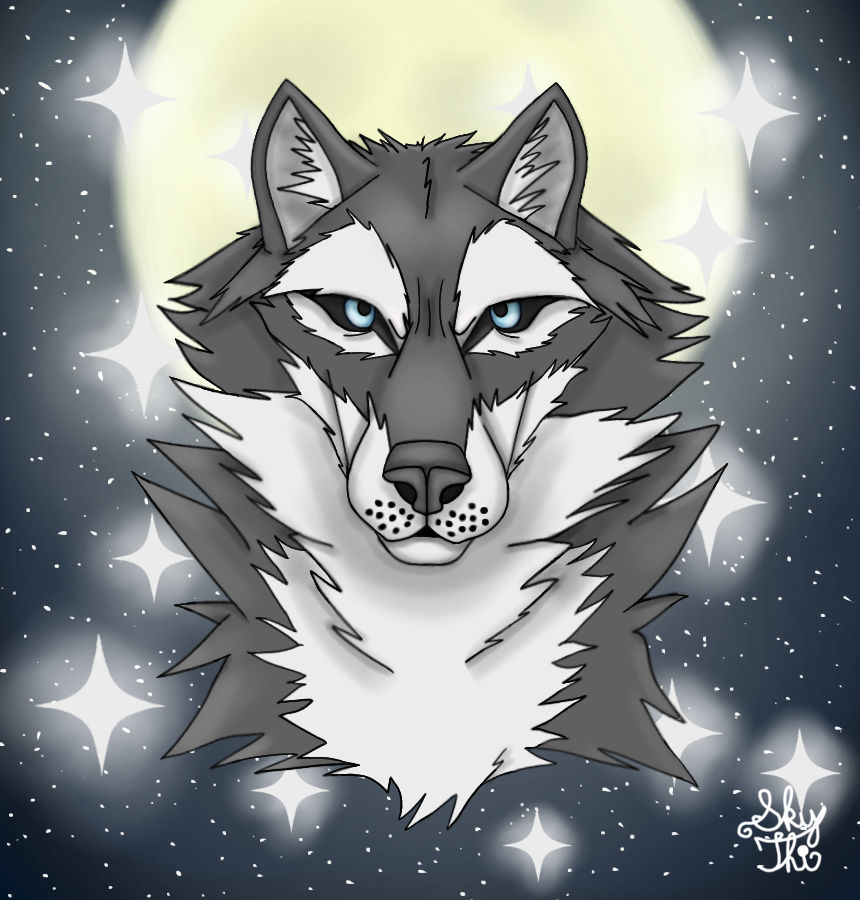 DeviantArt S Wolf Tutorial By SkyThi On DeviantArt