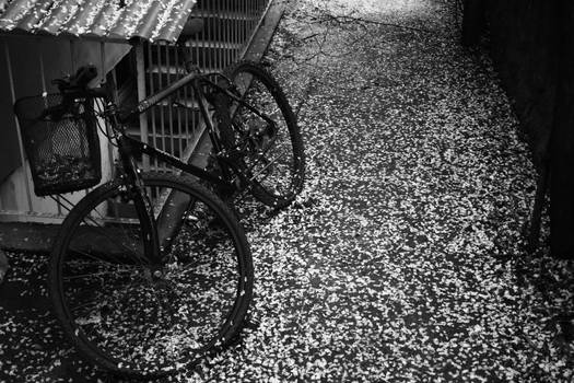 Flowered Bike