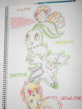 pokemon group pic