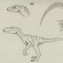 Raptor sketch