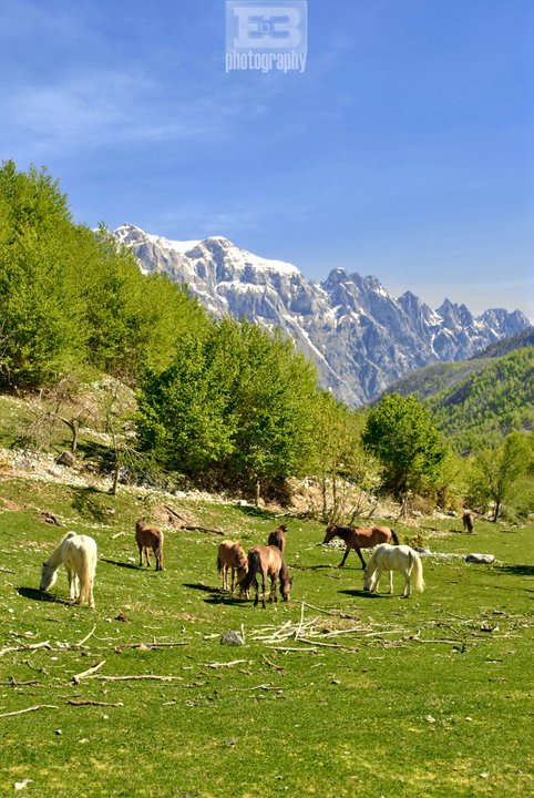 Valbona Valley