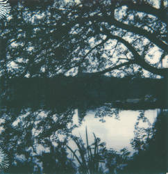 Dreamy Lake - Polaroid