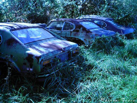 Automobile Graveyard