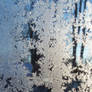 Morning Frost 1