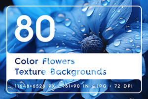 80 Color Flowers Texture Backgrounds