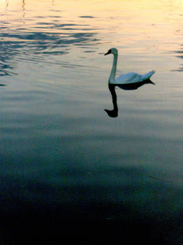 Oulton Broad 5.