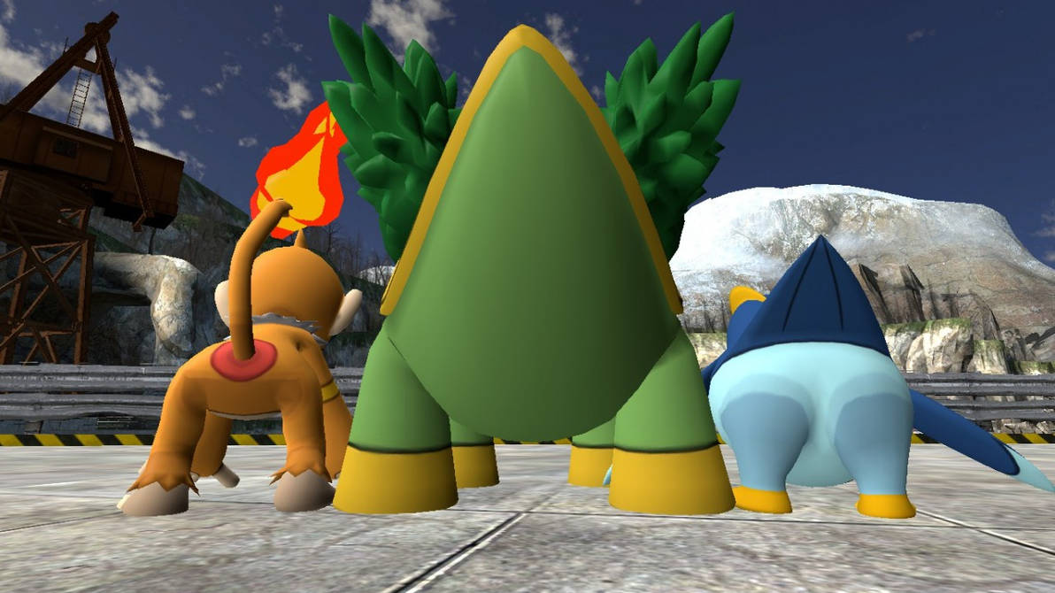 Gen-4 Starters Rears II by skulltronprime969 on DeviantArt