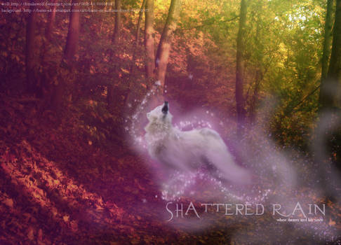 Shattered Rain Banner