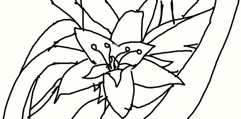 Flower Lineart By Starlight573 On DeviantArt