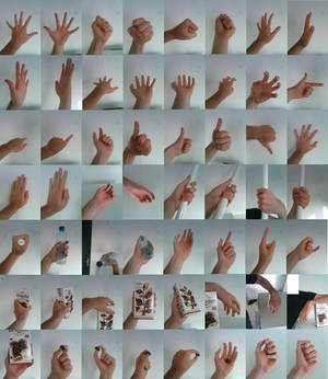Hands