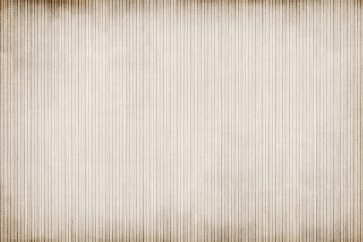 Grunge Fabric Texture