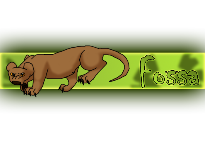 Fossa