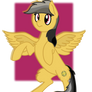 Daring Do poni