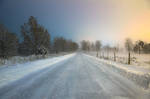 Winter Road by MiniMonkey