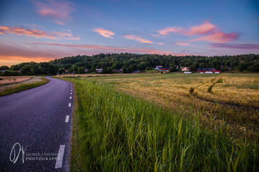 Swedish Summer