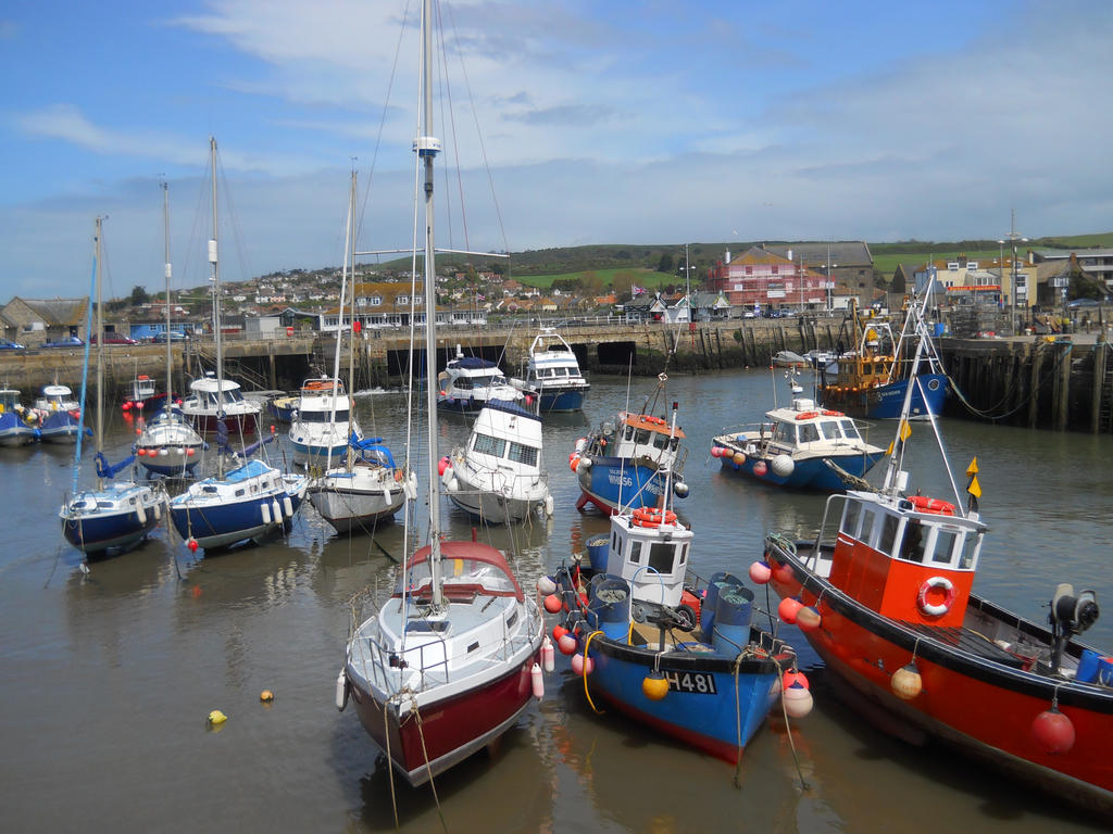 Docked at Port