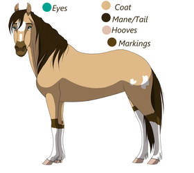 Foal Design