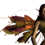 Faery collection - n 1