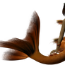 Capricorn