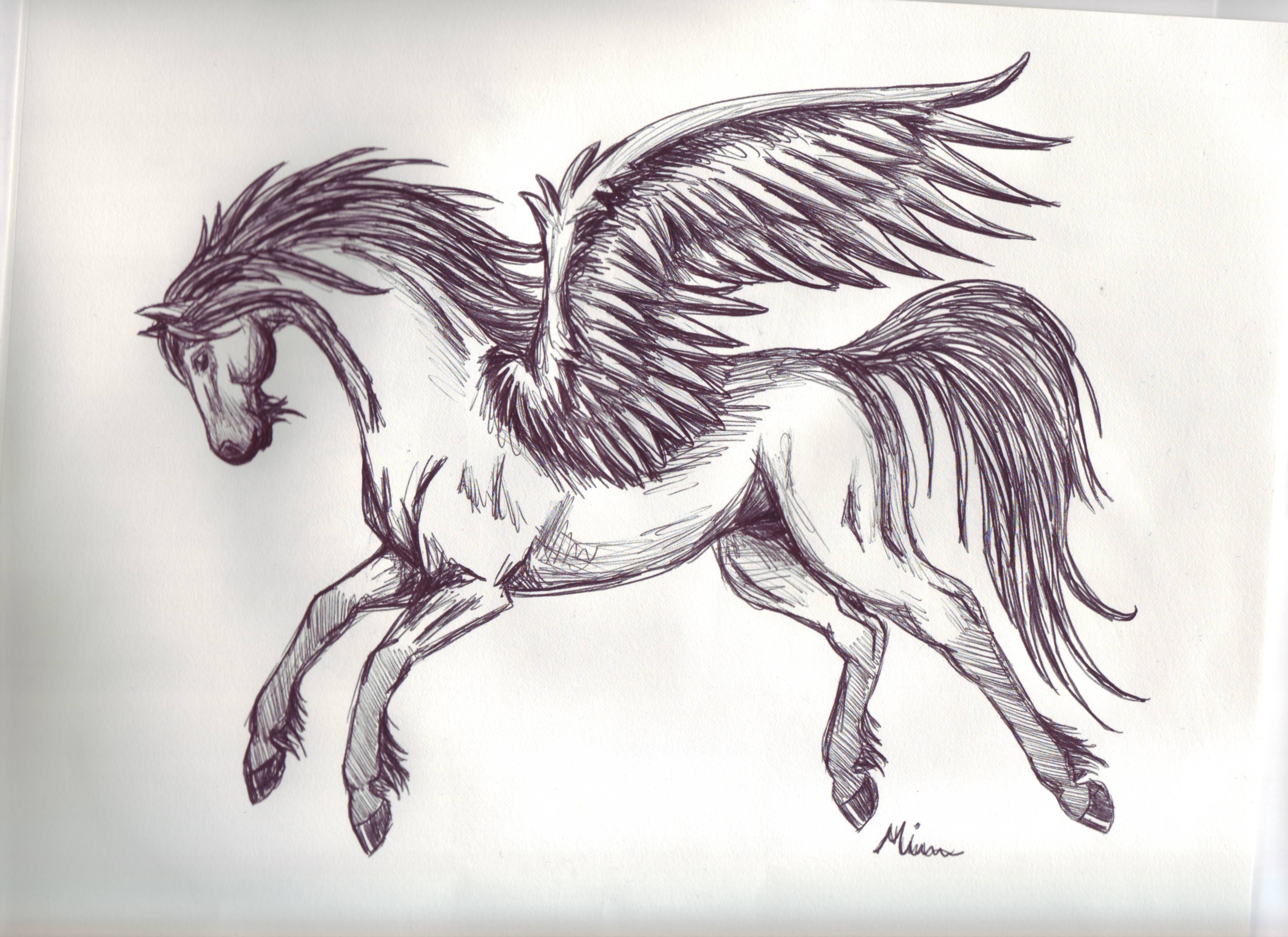 Pegasus Sketch 3